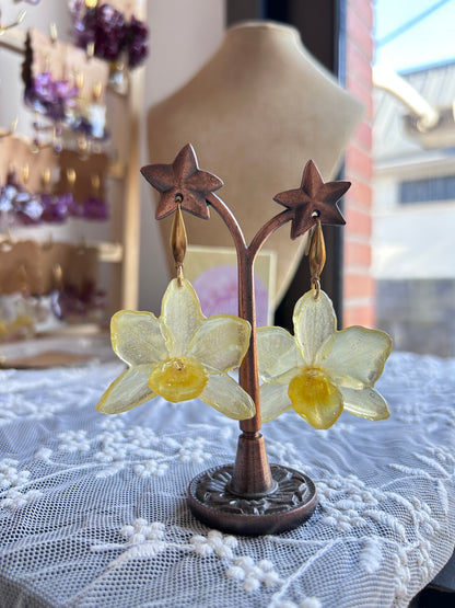 Pendientes dendrobium Yellow