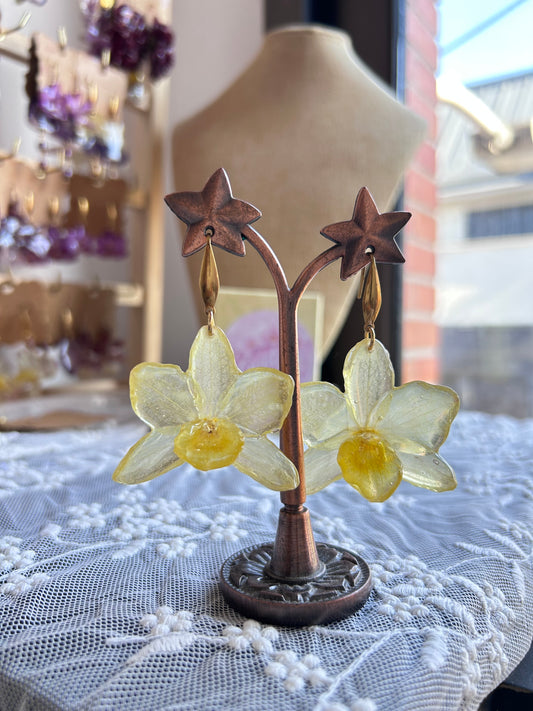 Pendientes dendrobium Yellow