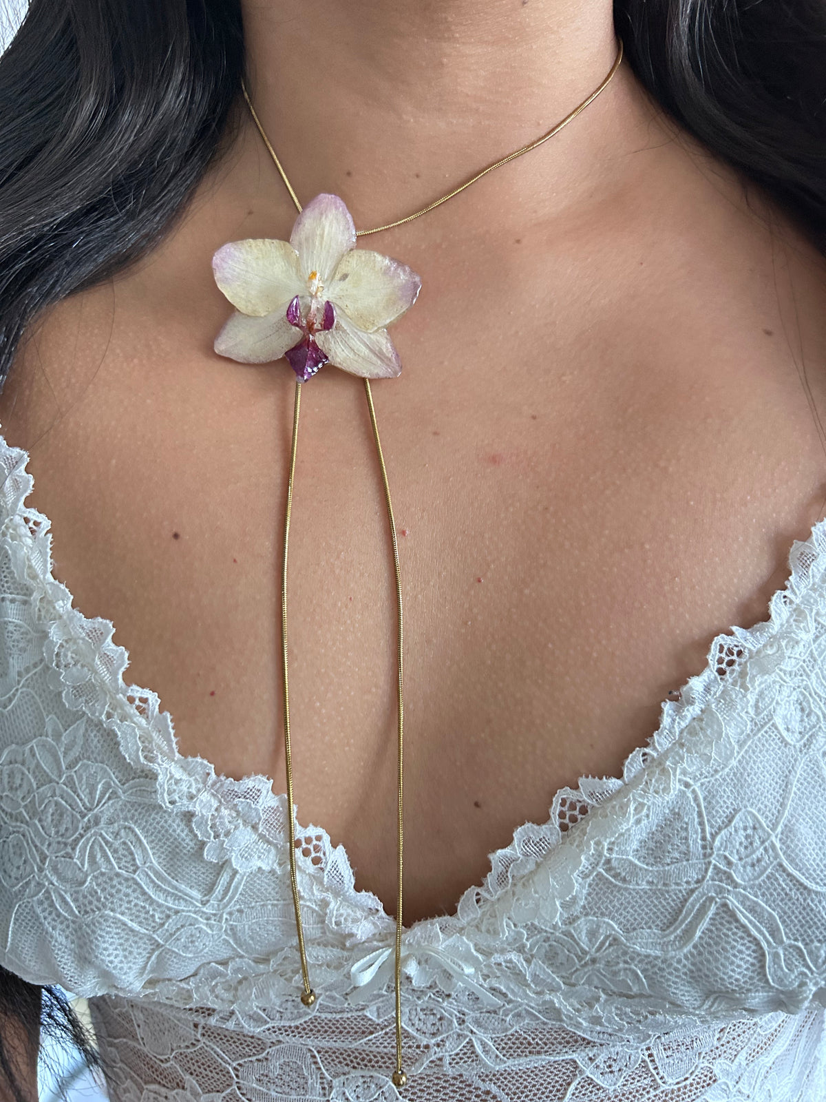 Phalaenopsis Papagayo