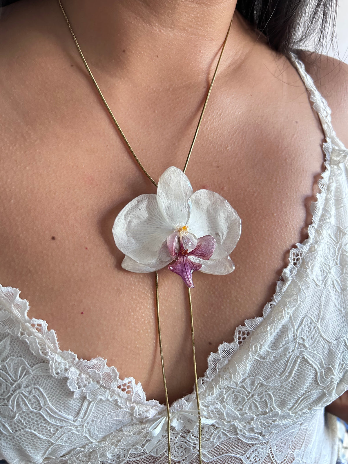 Grand Phalaenopsis white