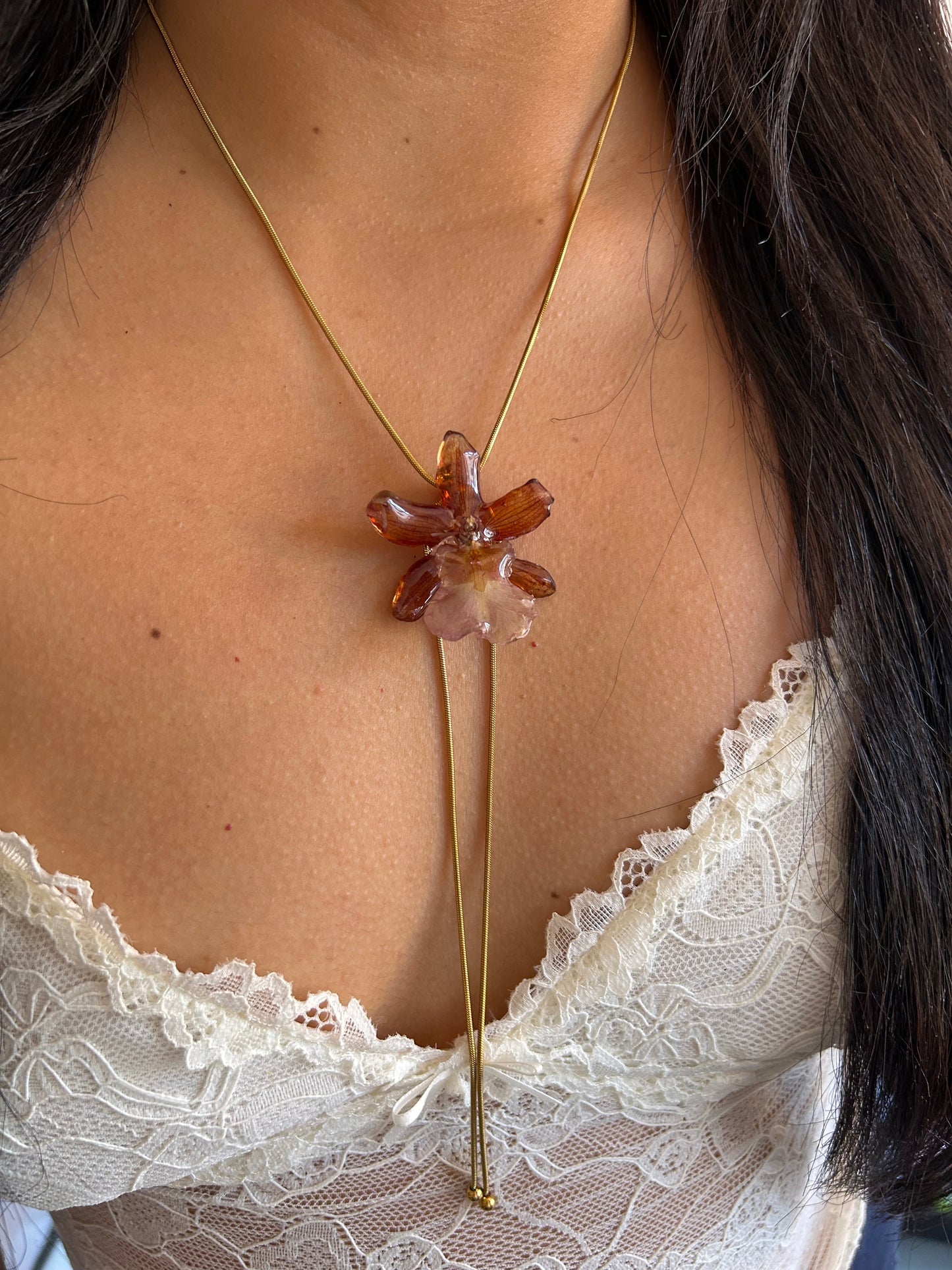 Caramel cambria orchid