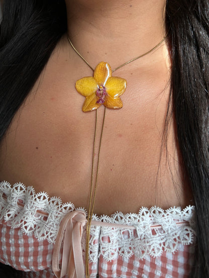 Orchid Phalaenopsis mini wild yellow