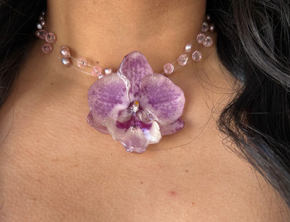 Lilac orchid glow