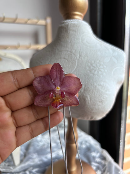 Orchid mini pink