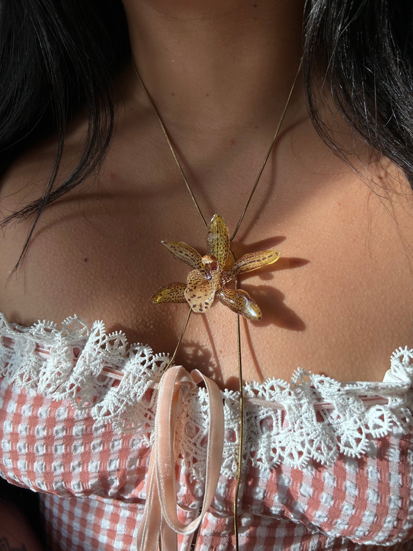 Orchid cymbidium Magic