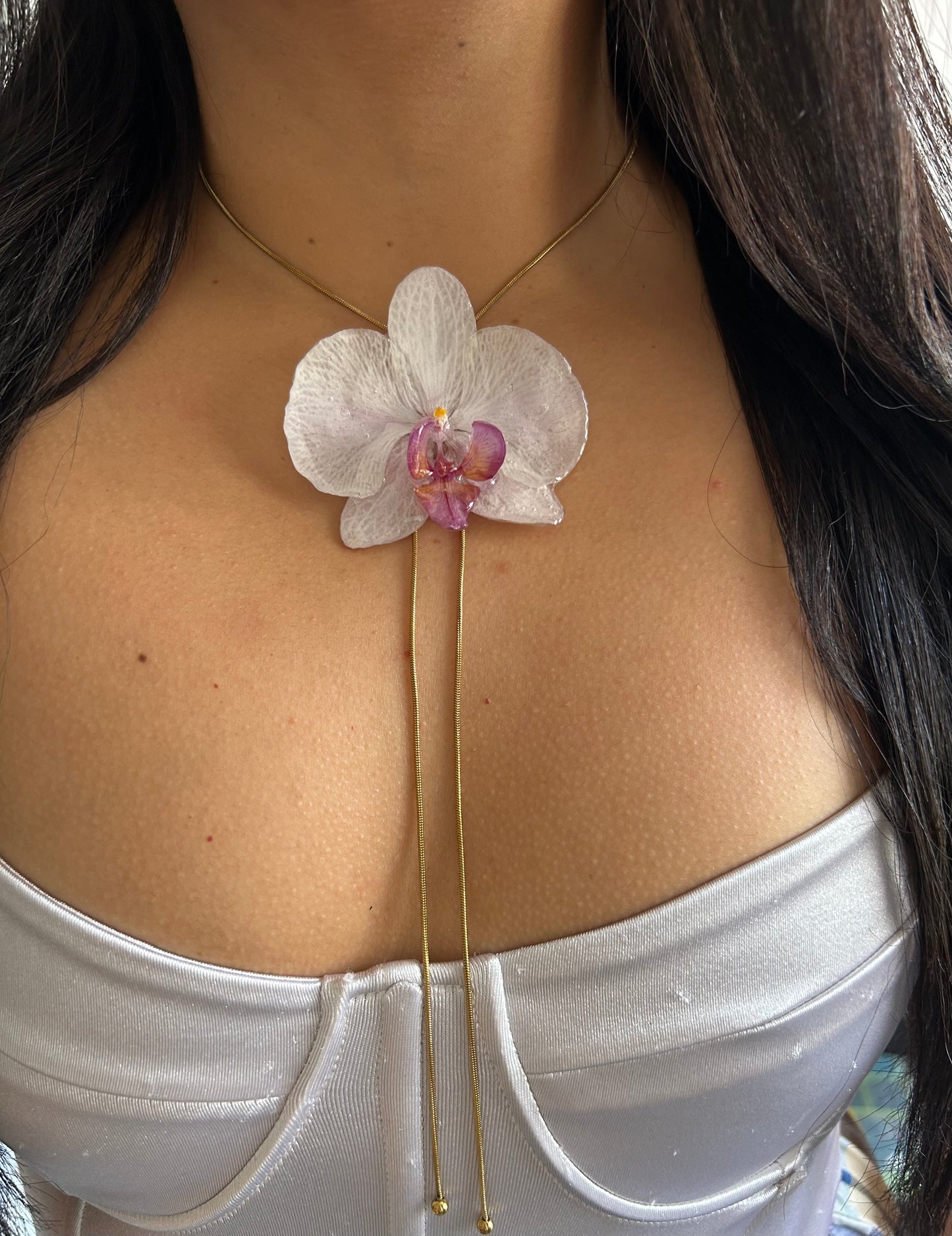White  phalaenopsis orchid