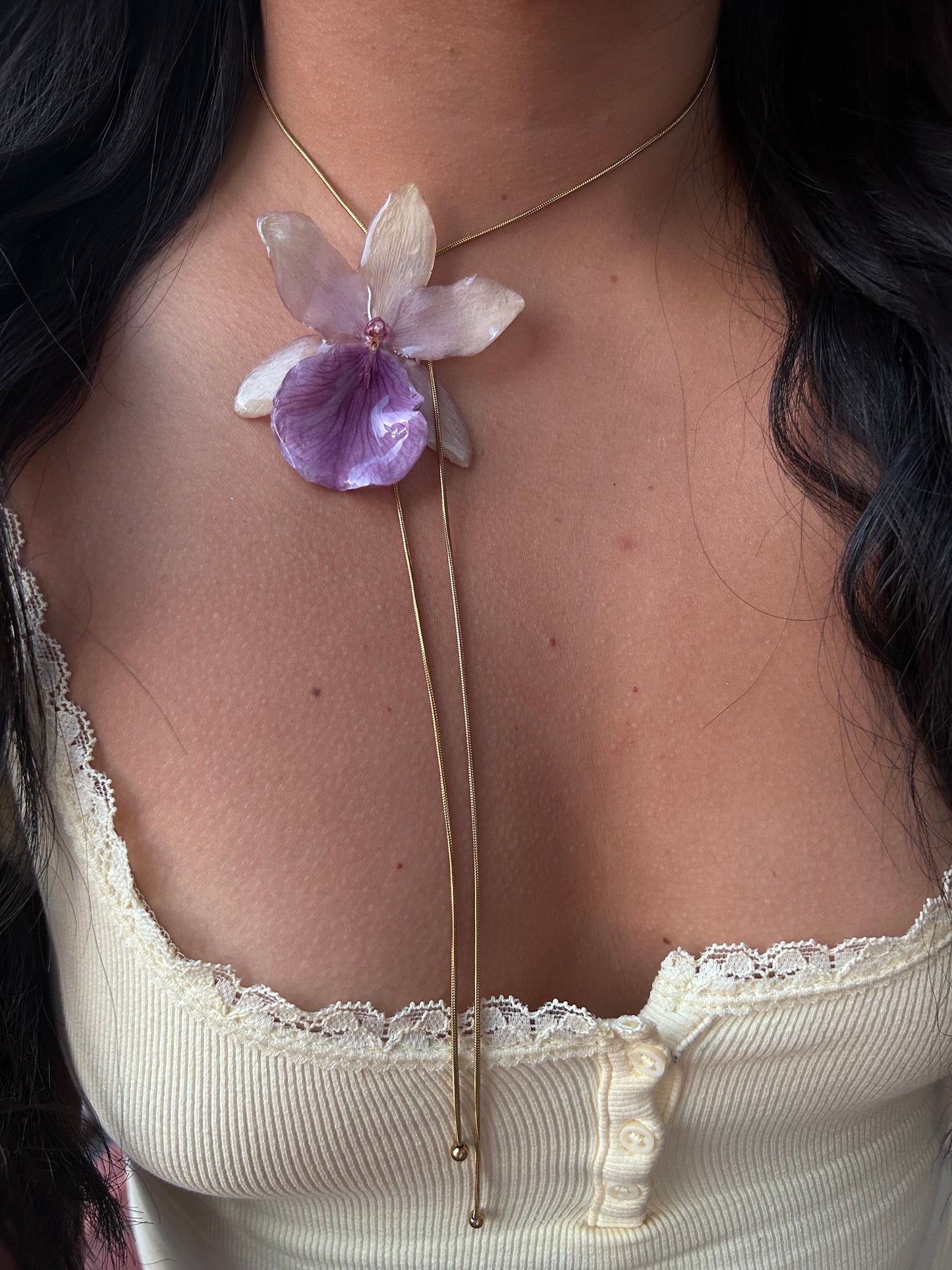 Gran Miltionopsis