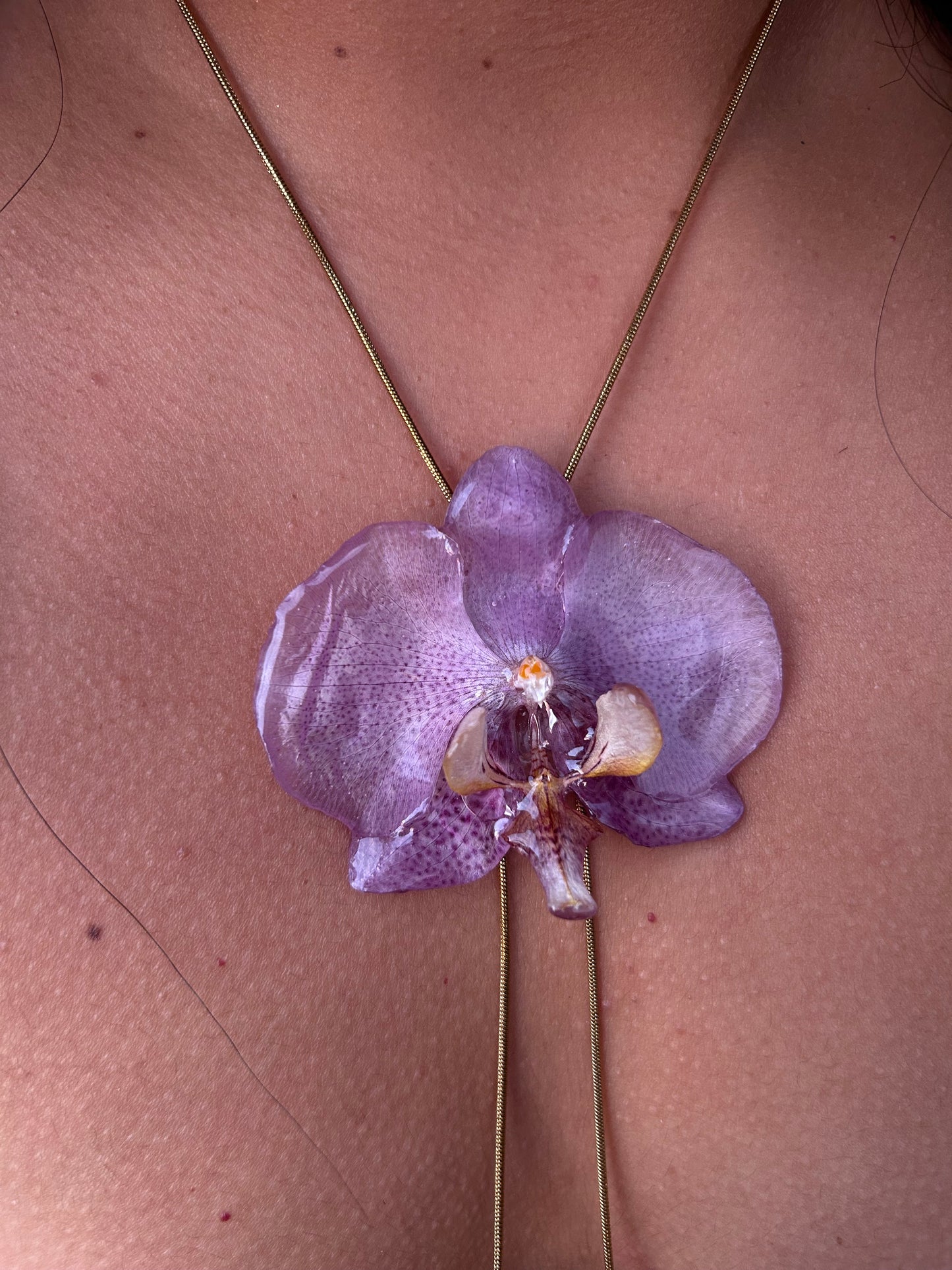 Grand Orchid lilac