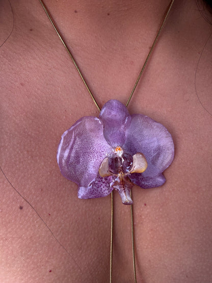 Grand Orchid lilac
