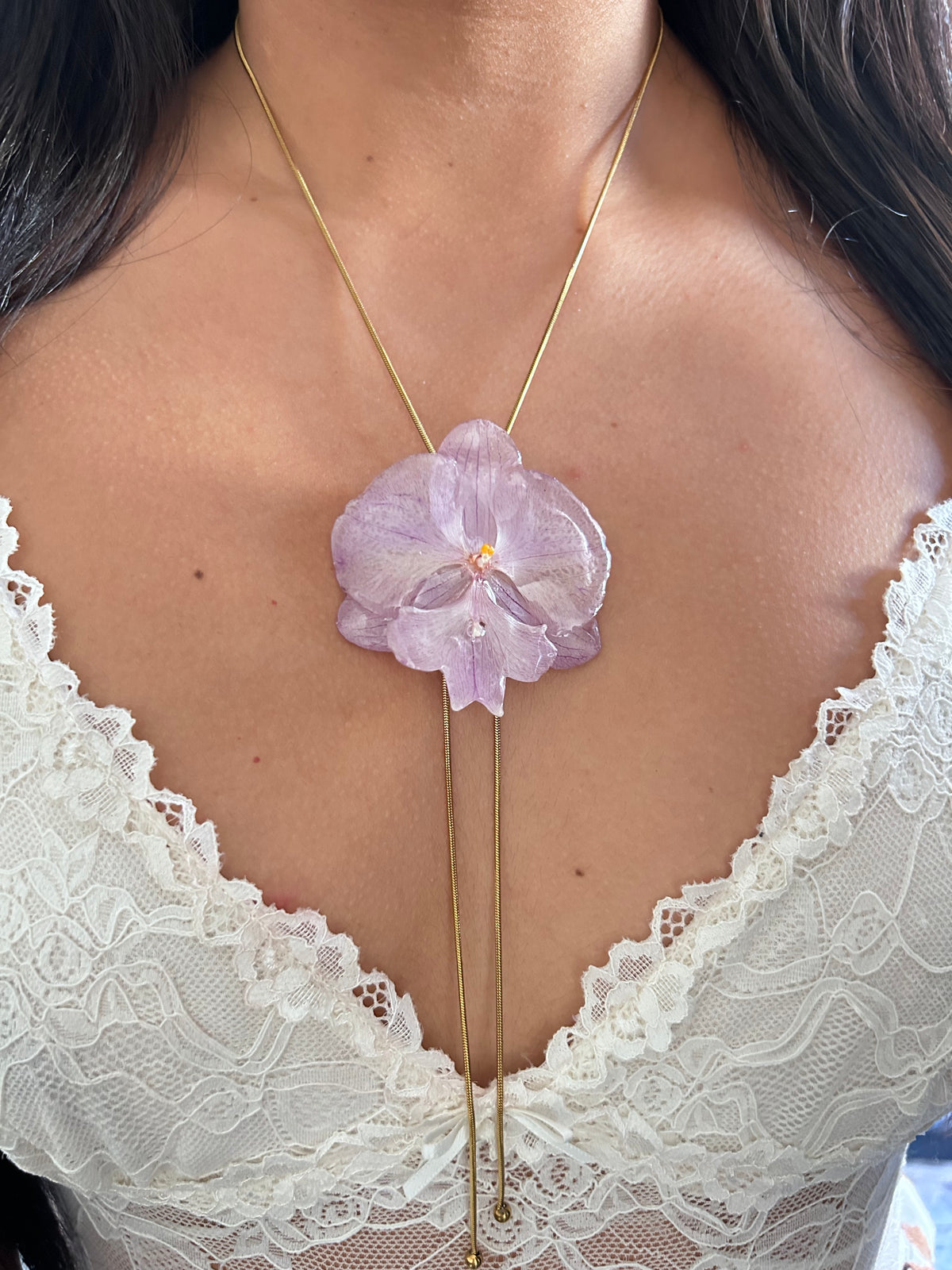 Phalaenopsis suave lila