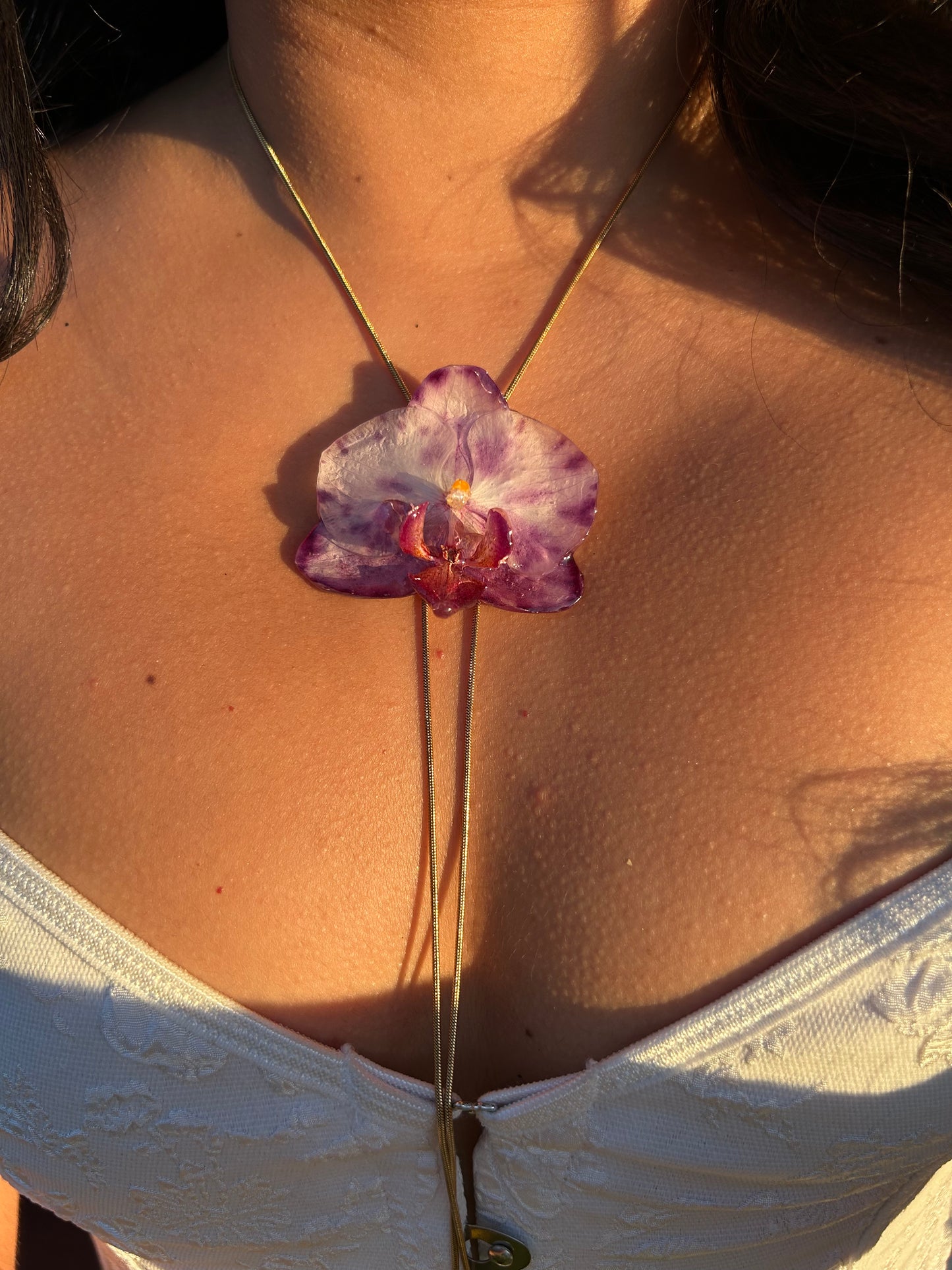 Phalaenopsis moteada