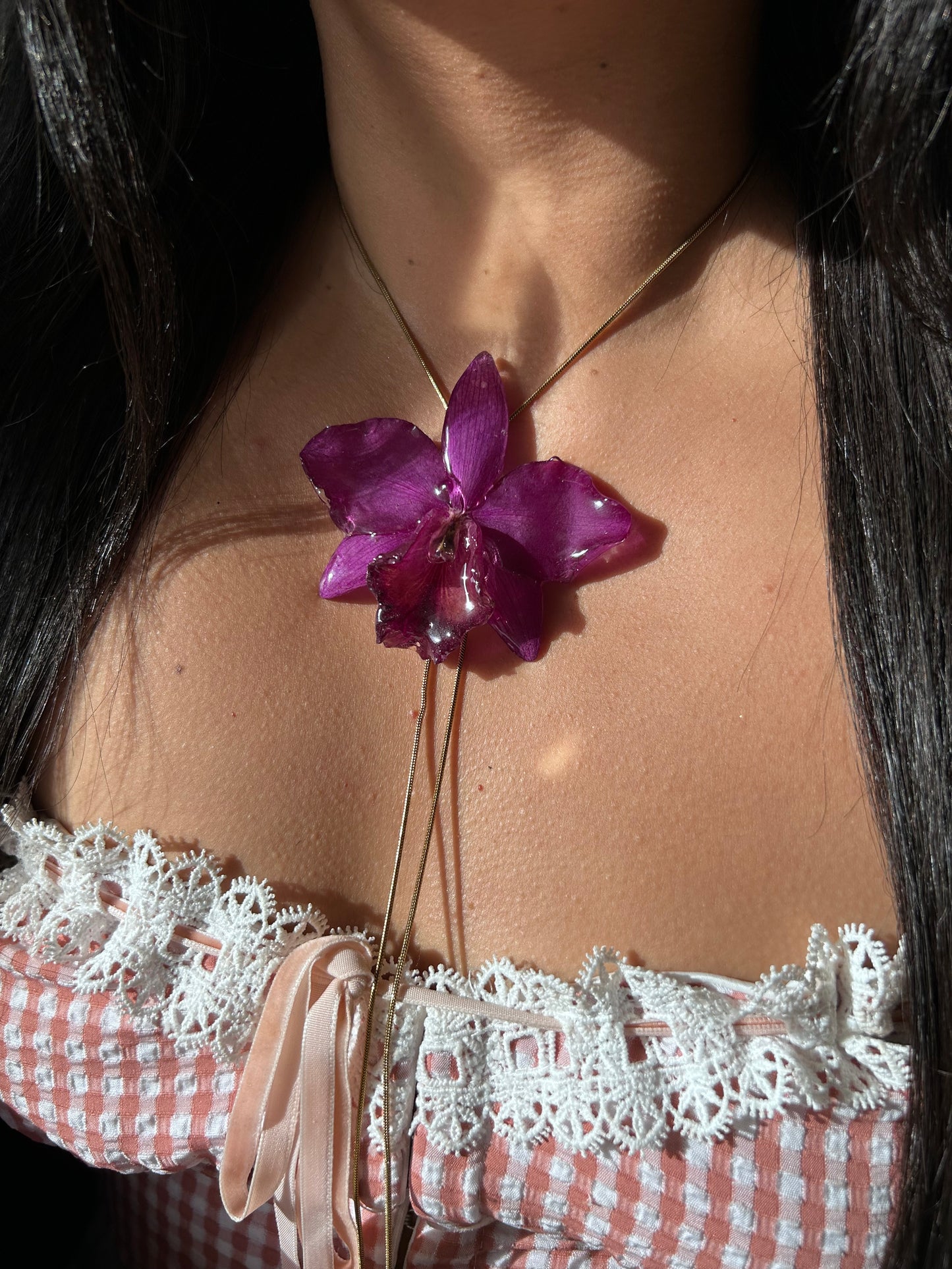 Orchid Cattleya purple