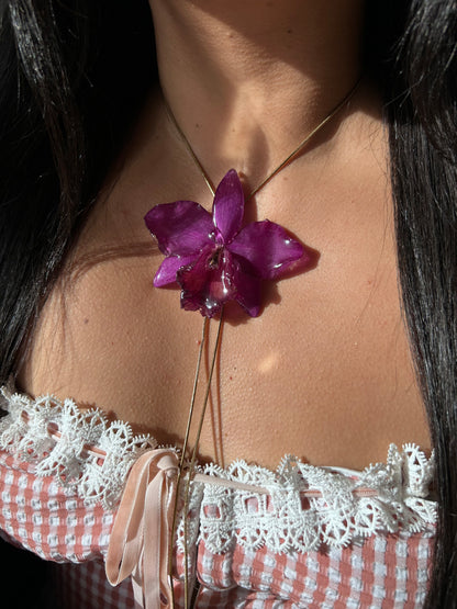 Orchid Cattleya purple