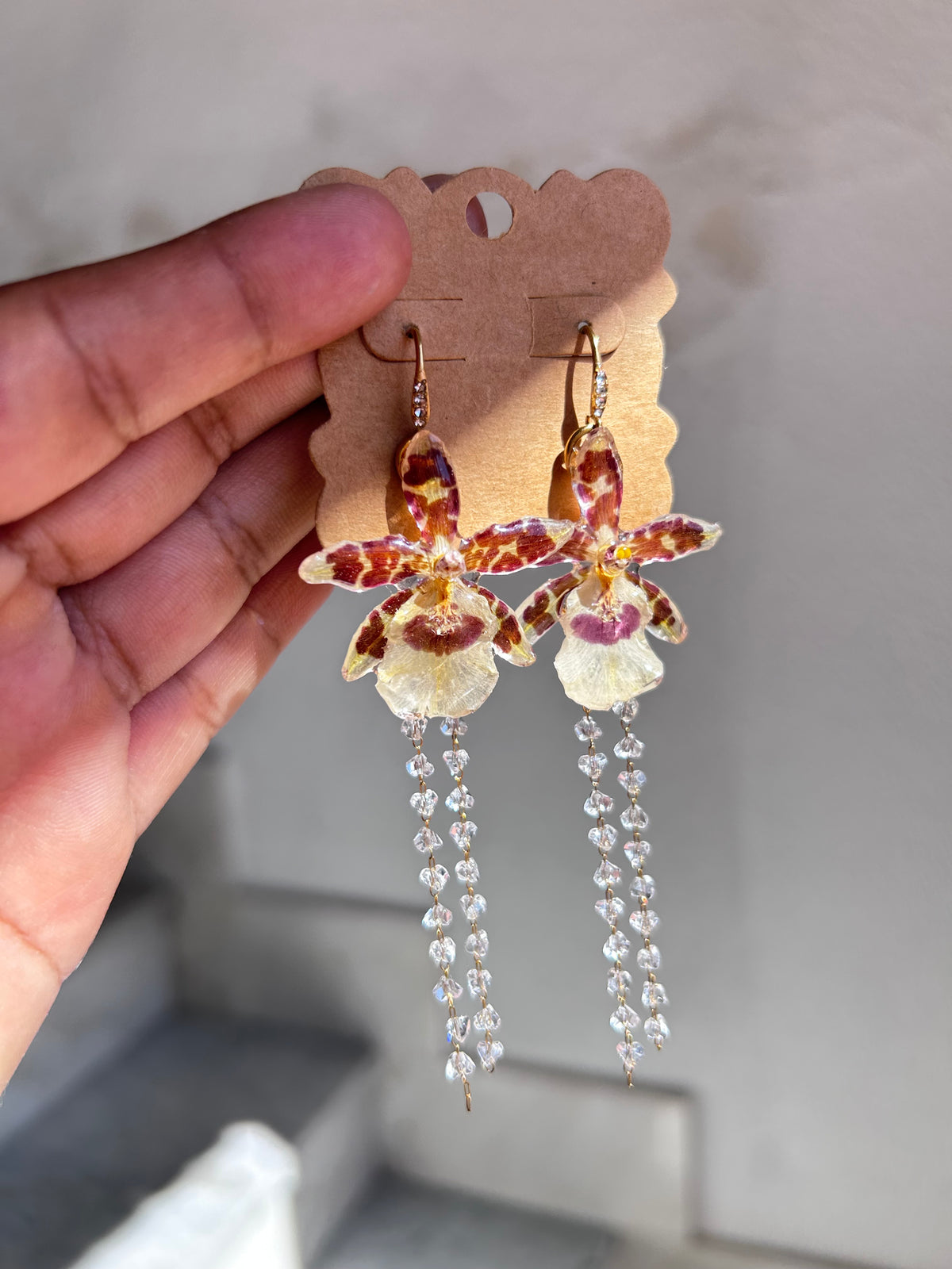 Mini oncidium
