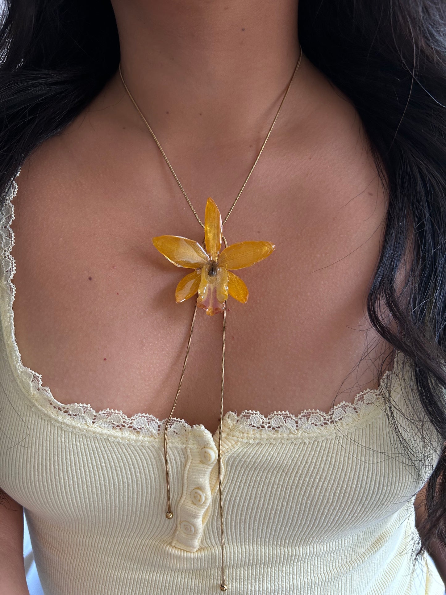 Cattleya wild yellow