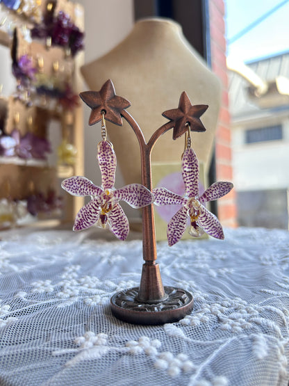 Pendientes Phalaenopsis híbridas