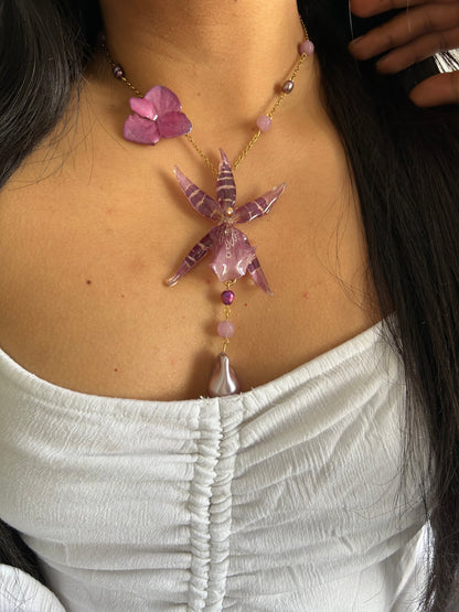 Brassia pink