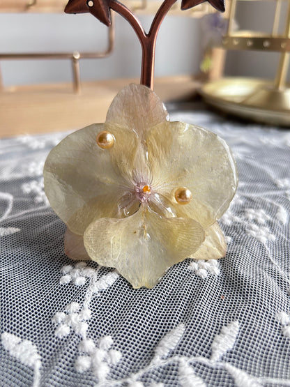 Hair clip Phalaenopsis Yellow