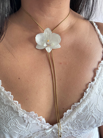 Phalaenopsis white medium
