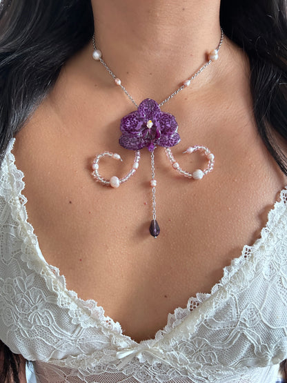 Orquídea encantada
