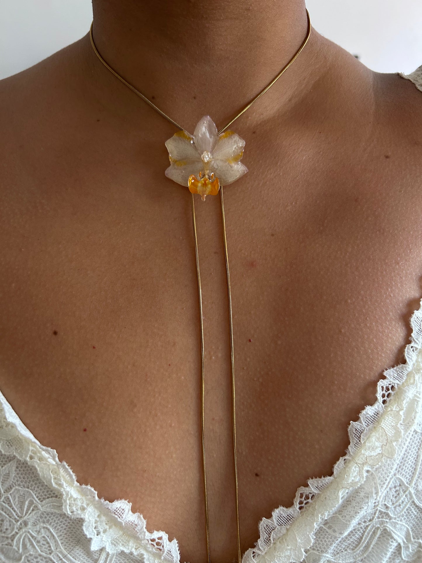 Orchid mini white Orange