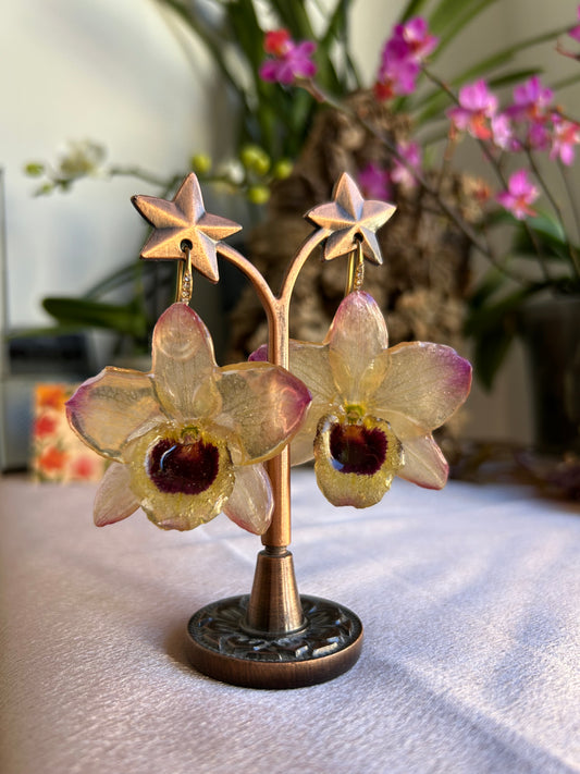 Pendientes Dendrobium sunny eyes