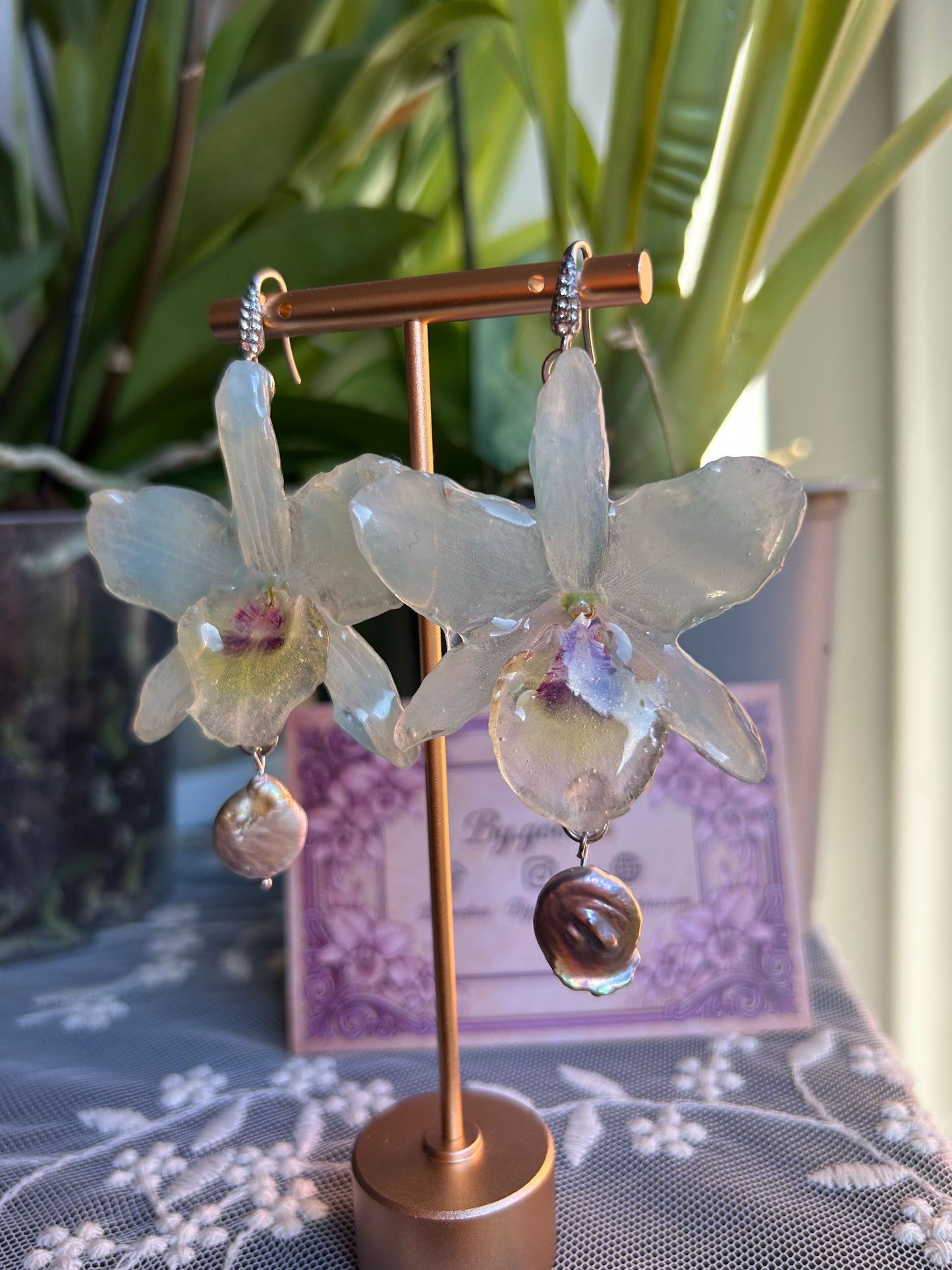 Soft sea orchid