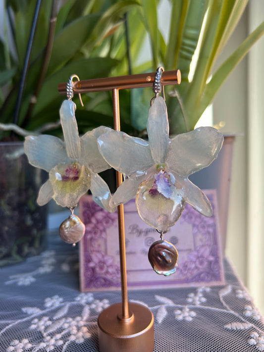 Soft sea orchid