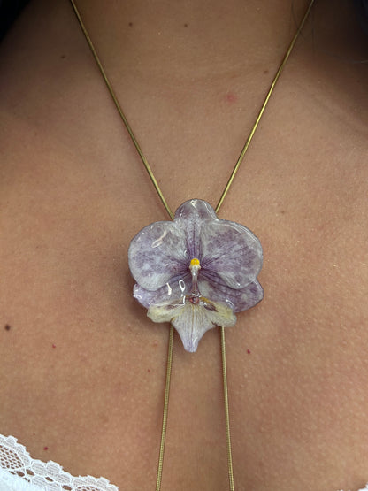 Orchid moteada