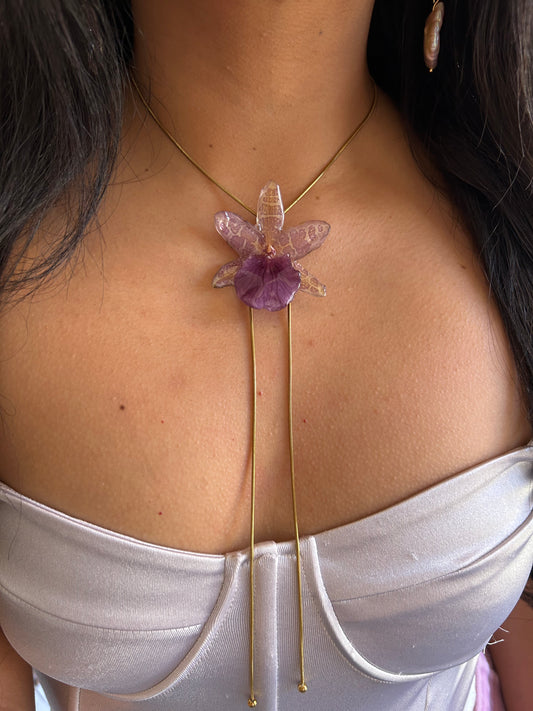 Orchid Miltionopsis