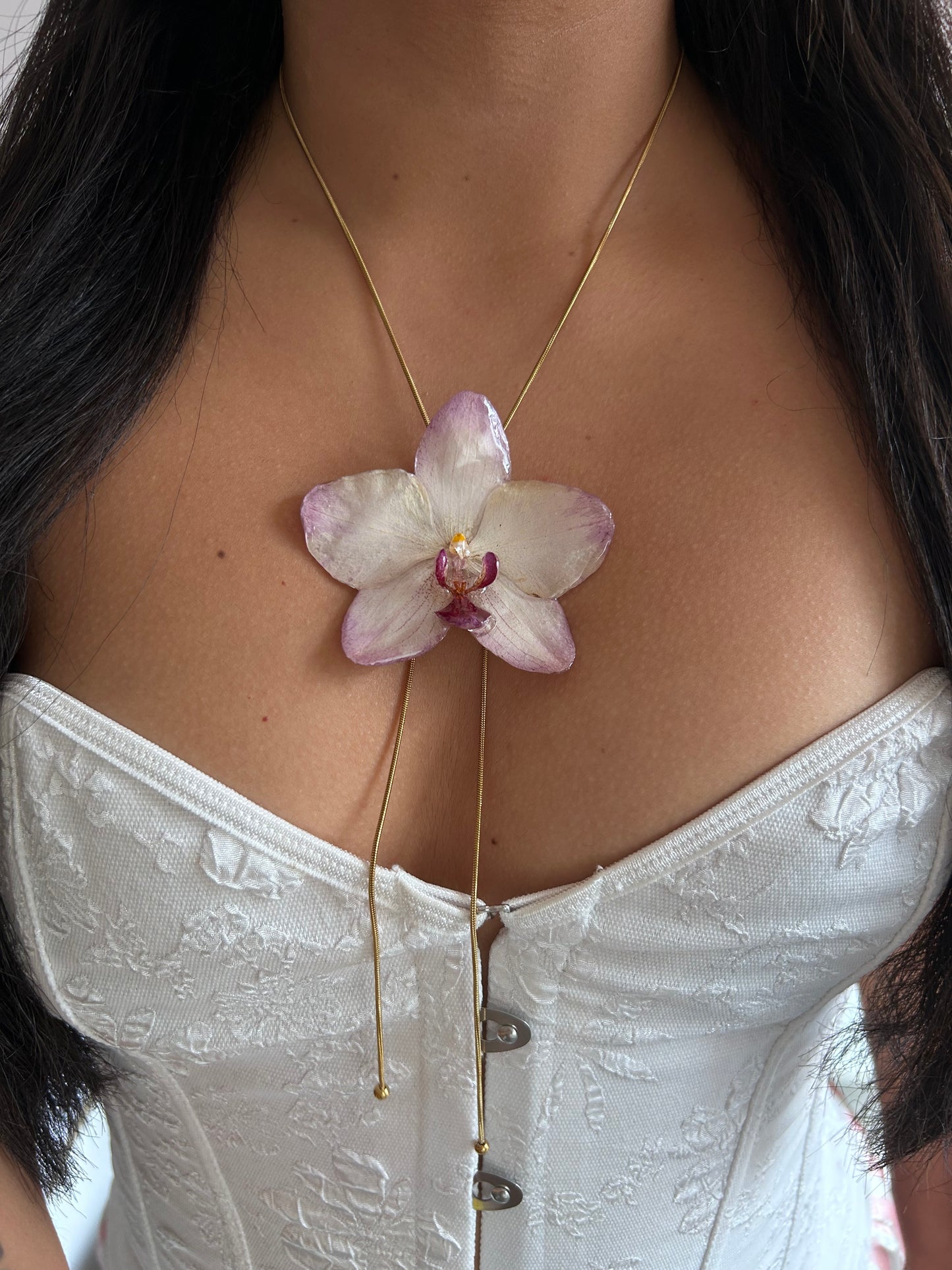 Orchid papagayo