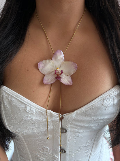 Orchid papagayo