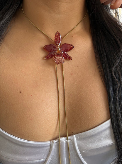 Wild red exotic orchid