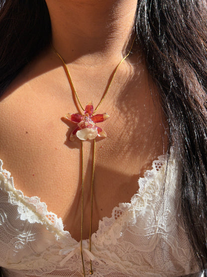 Exotic mini orchid
