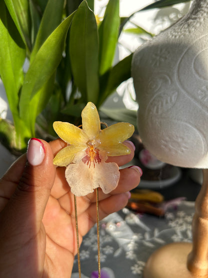 Exotic orchid wild yellow
