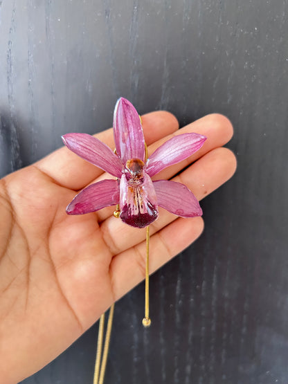 Cymbidium malva
