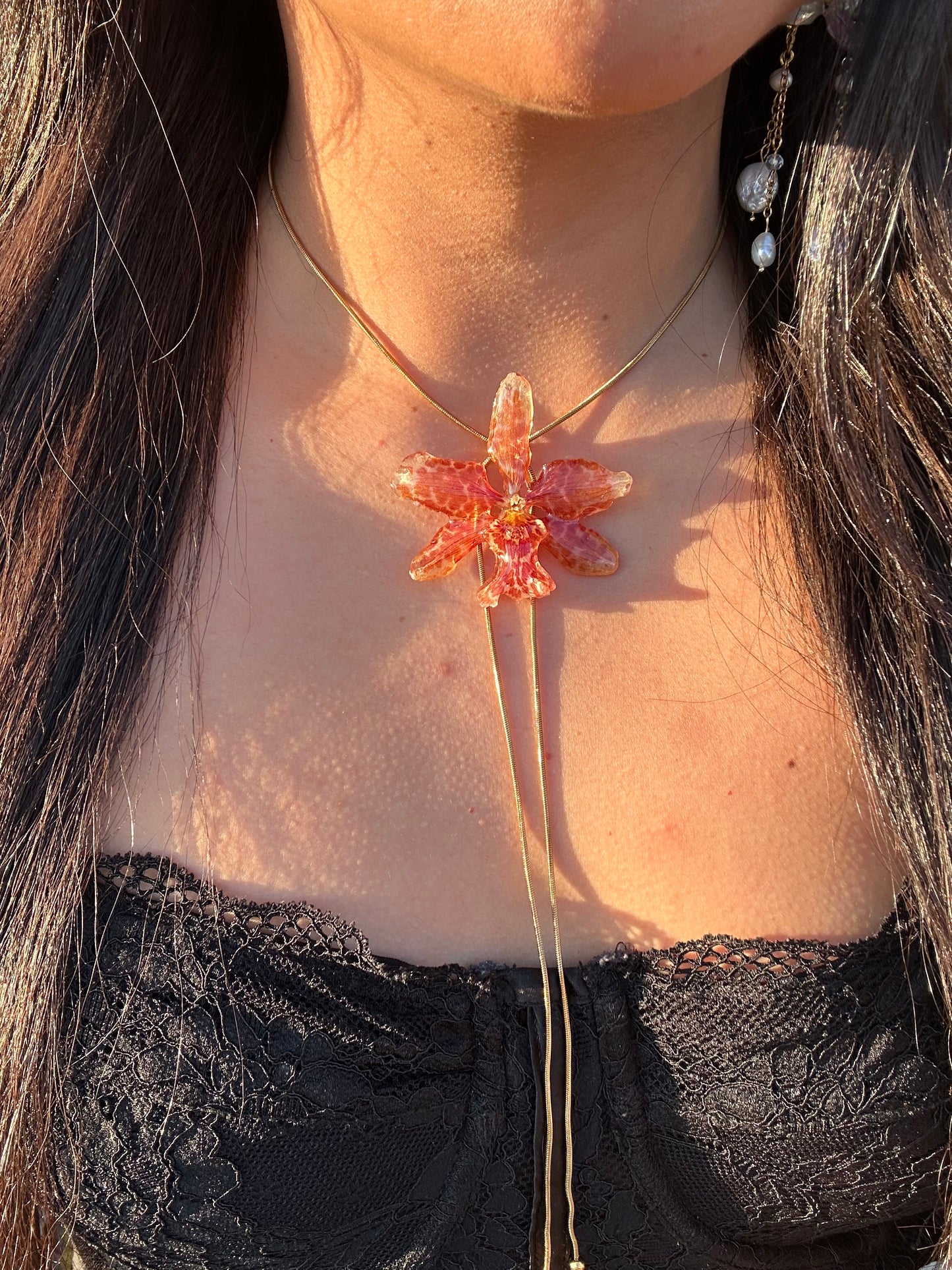 Exotic orange orchid