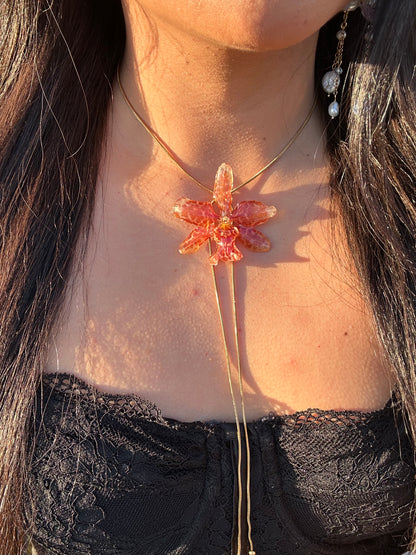 Exotic orange orchid