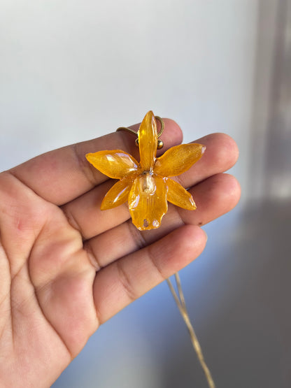 Mini Cattleya
