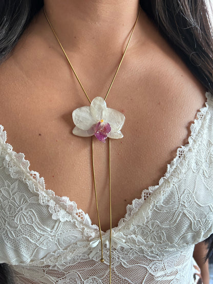 Orchid medium white