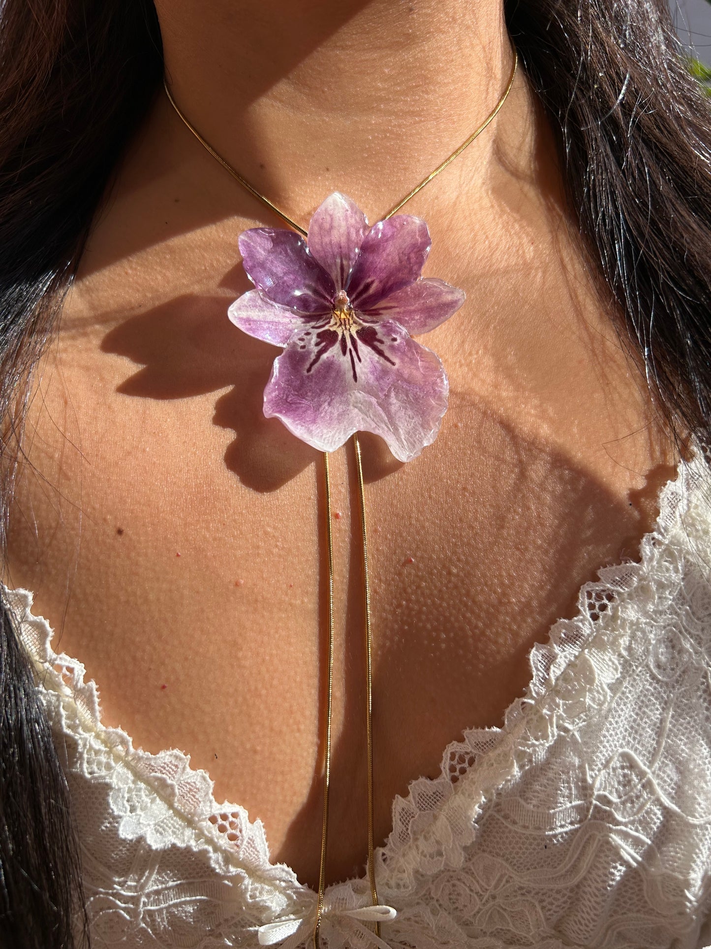 Miltonia Orchid