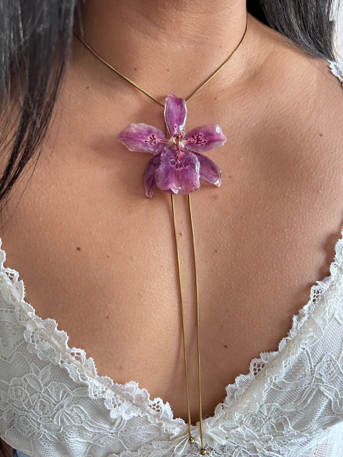 Orchid Beallara pink