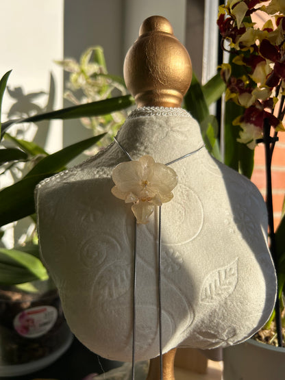 Orchid súper mini white