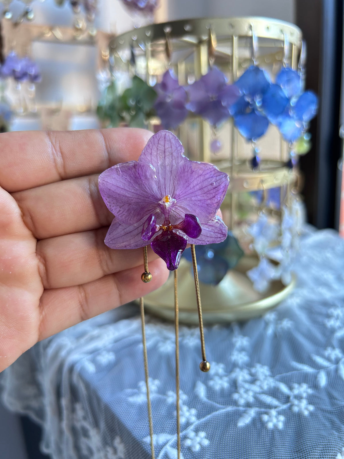 Phalaenopsis mini