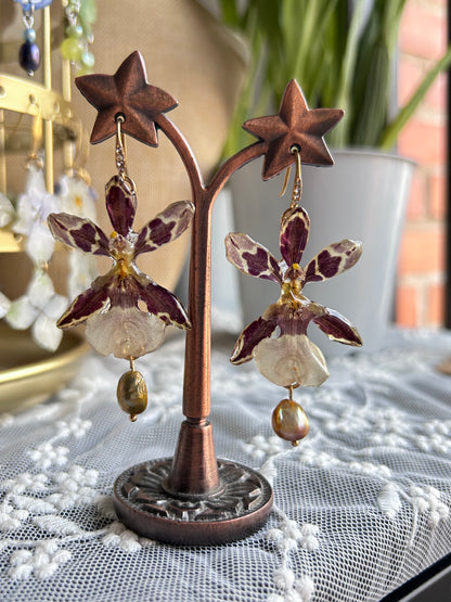 Pendientes exotic orchid Brown