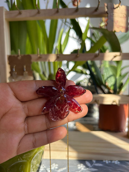 Wild red orchid