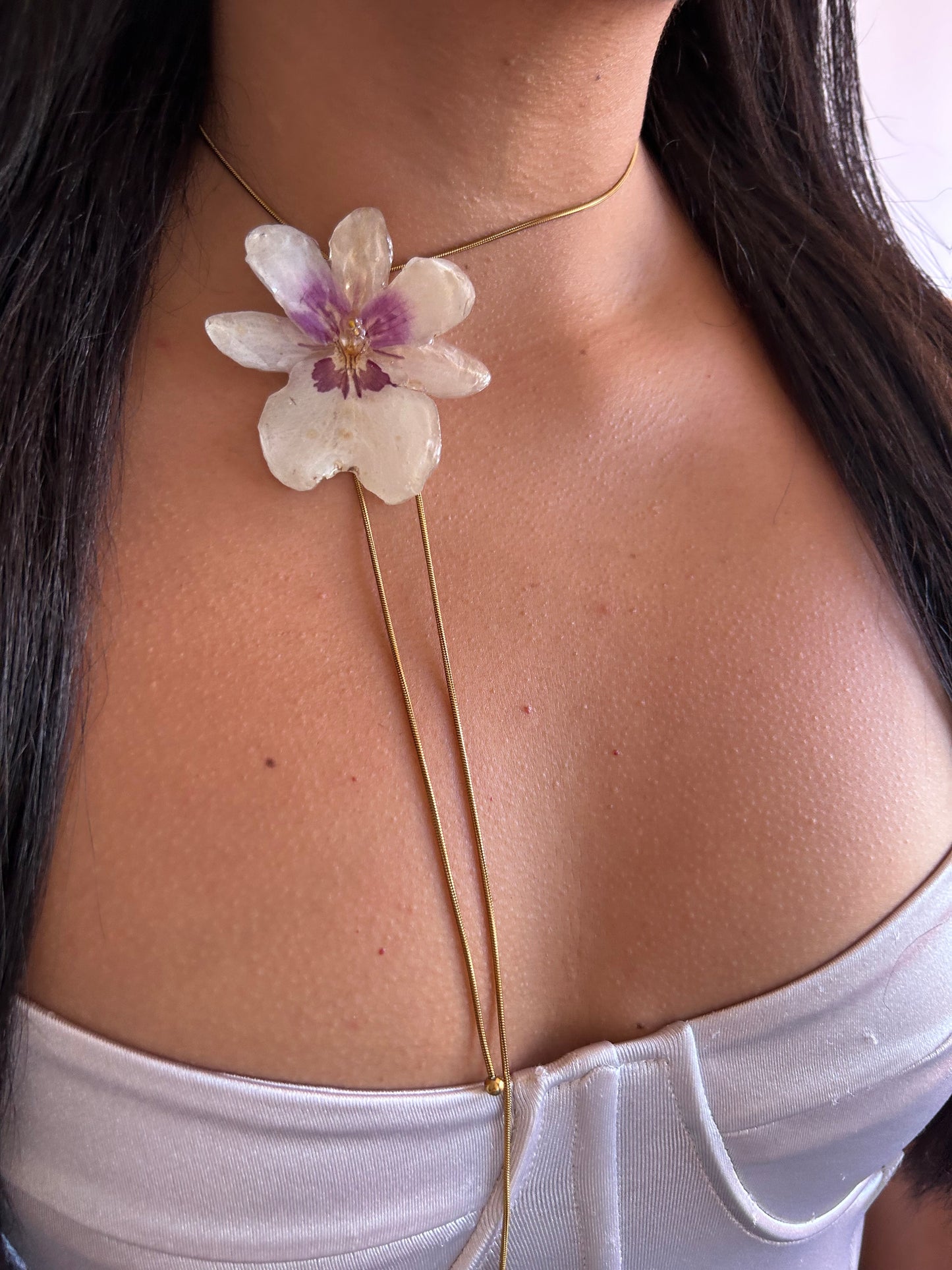 Orchid Miltionopsis white
