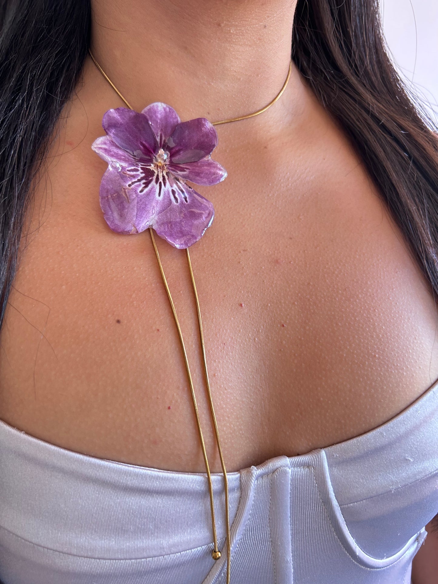Gran Miltonia