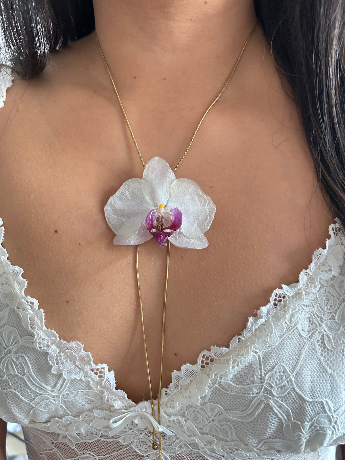 Phalaenopsis white