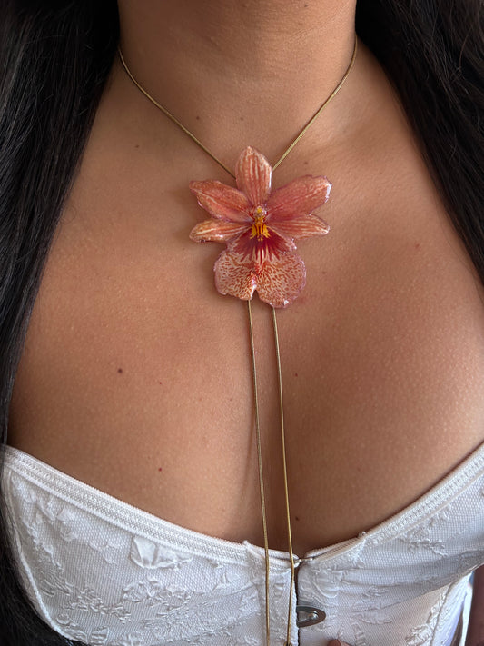 Nelly isler orange